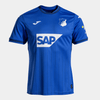 Hoffenheim 2024/25  Principal