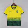 Brasil 2022  Especial