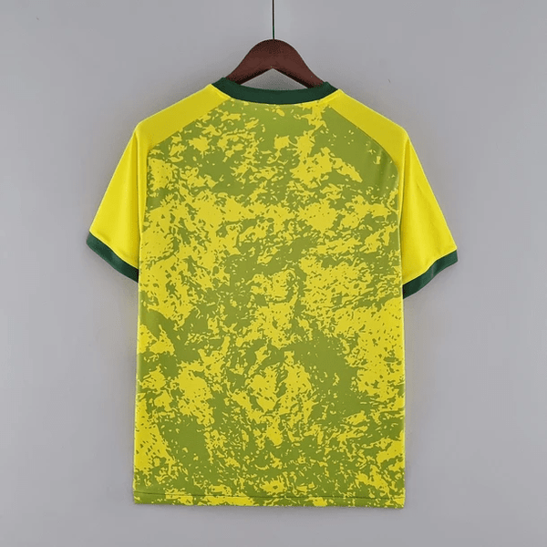 Brasil 2022  Especial