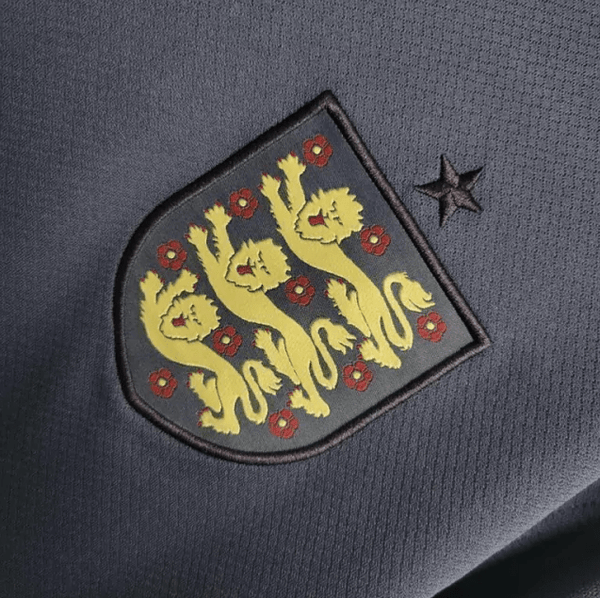 Inglaterra 2024  Alternativa