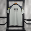 Grémio  de Treino Grey 2023/24